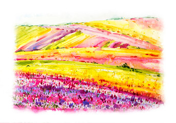 Spring landscape. Tulip fields. Watercolor hand drawn botanical illustration. Summer landscape. Watercolor nature. Summer. Spring. Flower fields.   