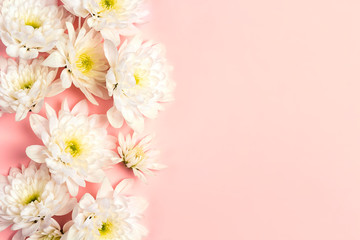 Fototapeta na wymiar Border of chrysanthemum flowers on a pink background.