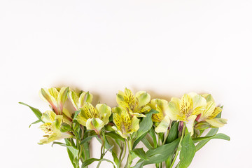 Bouquet of fresh alstroemeria flowers. The concept of spring, summer, women's day, holiday. Flat lay, top view, minimalism, copy space.