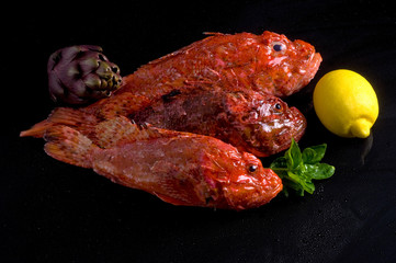 Scorfani su fondo nero