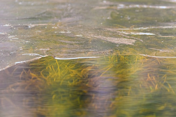 Surface de la tourbière de l'étang du Devin pris dans la glace, Le Bonhomme, Lapoutroie, Alsace, Vosges, France