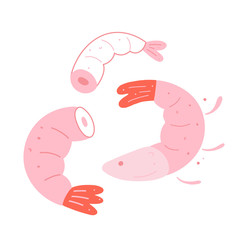 Raw shrimps isolated, doodle vector illustrations, prawn sea food, without head, cute hand drawn cartoon style, fresh seafood drawing, good as logo or icon drawing for cafe, menu or restaurant.