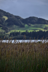 landscape with mountains in Neusa