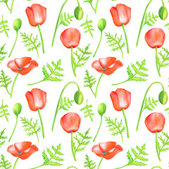 Watercolor red Poppy seamless pattern. Hand drawn botanical Papaver flower with leaves illustration isolated on white background. Bright field plant texture for decoration, design, textile, printing.