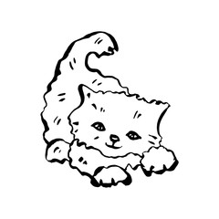 Cute kitten. Vector illustration in line art style. Suitable for coloring books, postcards, stickers.