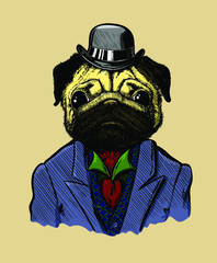 Dog in a suit and hat, drawn by hand, with a feather on a beige background. Pug character with character, big eyes in a tuxedo, with a collar and tie in retro style. Humonization.