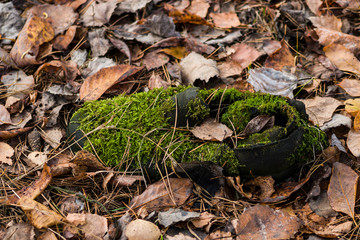 The sole of an old decayed army boot is lined with nails. Abandoned in the old days in the woods.