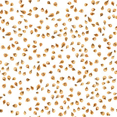 Seamless pattern with coriander on a white background. Drawing with colored pencils.