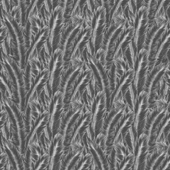 bird, surface, texture, feather, pattern, textured, backgrounds