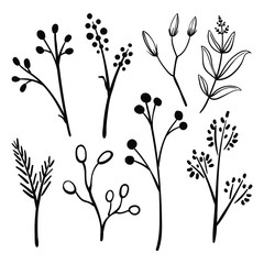 Set of doodle branches, twigs, leaves and flowers. Black line sketch, organic shapes silhouettes. Hand drawn design elements. Vector illustration