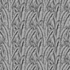 bird, surface, texture, feather, pattern, textured, backgrounds