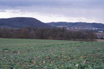 Dorf und Umgebung in Sachsen