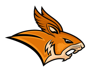 Angry squirrel sign on a white background.