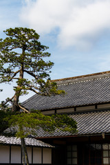 Japanese old house