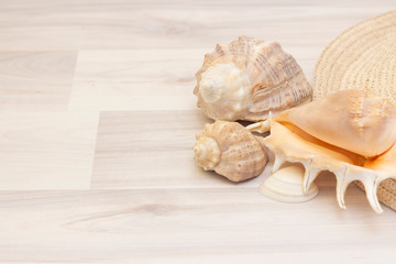 Seashells and straw hat on a wooden light background. Travel and vacation concept.