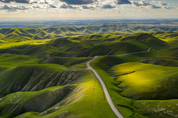 Green country road in the mountain foothills in the spring