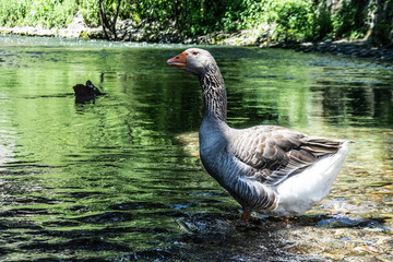 Medieval town of Potes, Cantabria, Spain