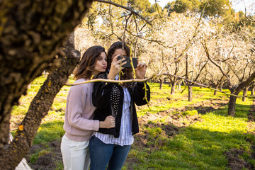Dos chicas haciéndose selfies en un parque lleno de almendros en flor en un dia primaveral