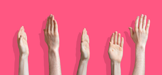 five raised human hands isolated on the colourful background as a concept of vote and agree