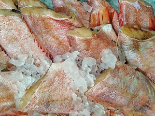 Fresh fish sea bass chopped slices