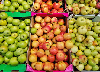 apples of different varieties in a box on shelves in a supermarket