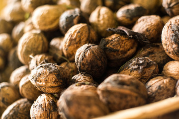 Extreme close up of whole walnuts