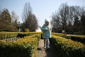  A little girl walks in the spring botanical garden where bushes and flower beds