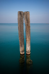 dolphin at the Garda lake in Italy