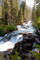 Forest waterfall in the Grand Tetons at sunset