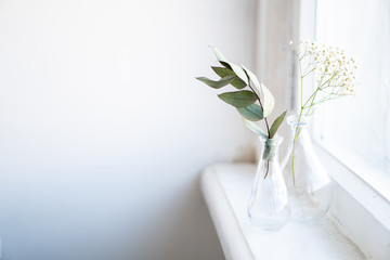 Two vases with dry branches on white windowsill in daylight home interior