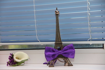 the eiffel tower and the groom's butterfly