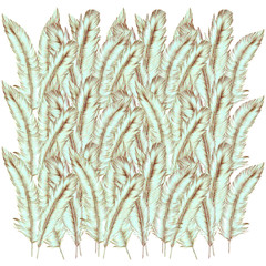  model design graphic feather bird color