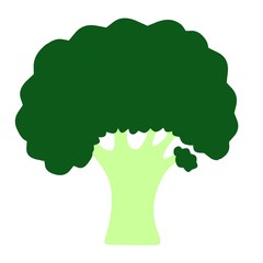 illustration of a broccoli without outline