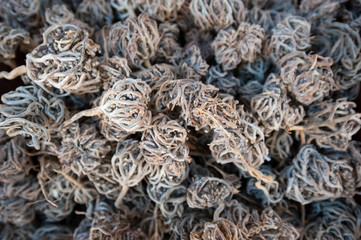 Pile of dried flower of maryam, also called the hand of Fatima, a shrub used for its medicinal properties in childbirth, at a market in Aswan, Egypt