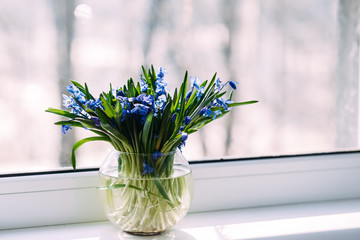 Spring bouquet of blue snowdrops in a vase