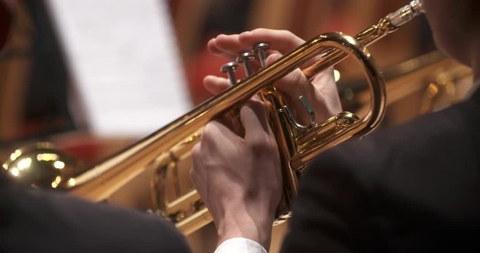 musician playing trumpet at concert