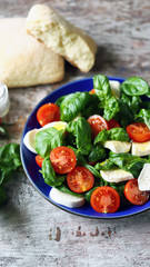 Caprese salad in a blue plate. Healthy salad with tomatoes, basil and mozzarella.