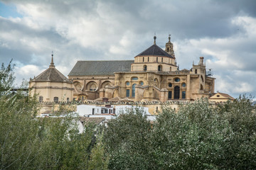 Fototapeta na wymiar Ciudad de Córdoba, Andalucía, España