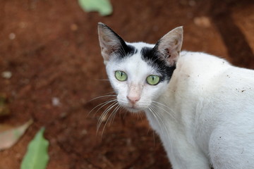 A Little Bit Shyness