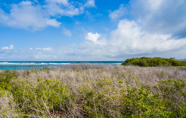 Paradise island and turquoise waters at the Caribbean. Los Roques National Park, Venezuela