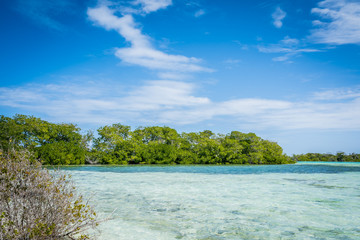 Paradise island and turquoise waters at the Caribbean. Los Roques National Park, Venezuela