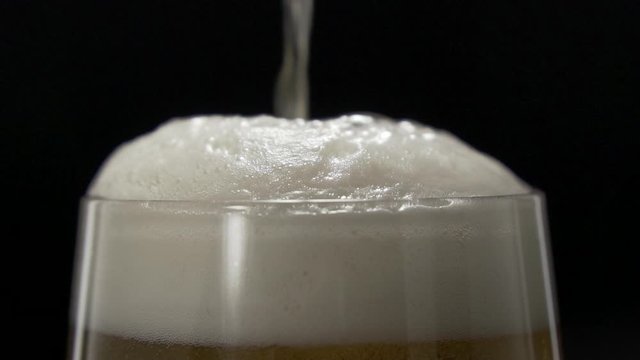 Beer is poured into a glass with  white foam. Beer settling in a glass