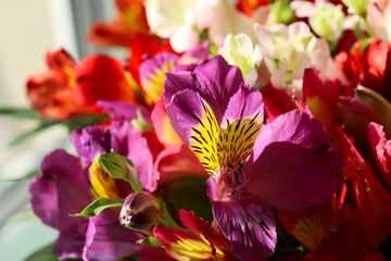 Blurred floral background. A beautiful bouquet of different spring bright flowers. The rays of the sun fall on a bouquet of flowers. Cropped shot, horizontal, closeup. Natural beauty concept.