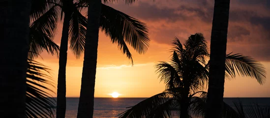 Behang Boracay Wit Strand (Selectieve focus) Prachtig uitzicht op een romantische zonsondergang met het silhouet van enkele kokospalmen op de voorgrond. White Beach, Boracay Island, Filippijnen.