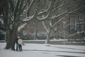 Fototapeta na wymiar people amsterdam park in winter snowy day