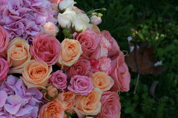  background, delicate flowers, hydrangea roses beauty wedding tenderness love good bouquet plants herbs