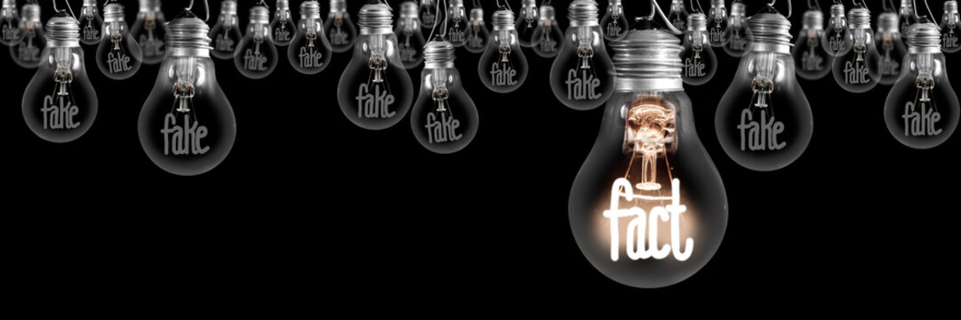 Light Bulbs with Fake and Fact Concept