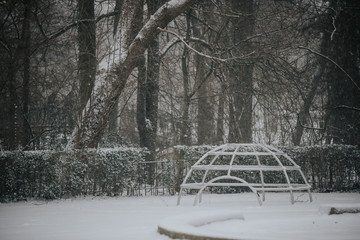 amsterdam park in winter snowy day