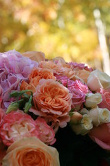  background, delicate flowers, hydrangea roses beauty wedding tenderness love good bouquet plants herbs