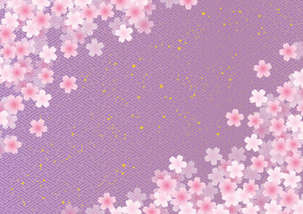 桜　和柄　紗綾　背景　紫